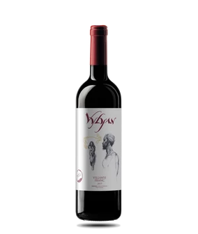 Villányi FRANC 2019