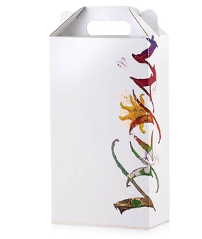 Vylyan lógozott kettes díszdoboz