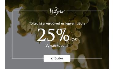 Szegmentáció kutatás kupon