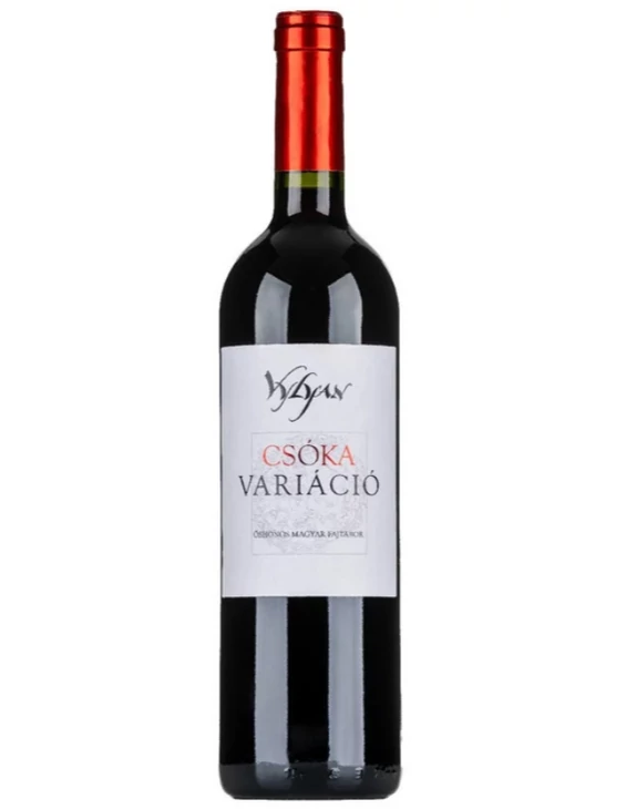 CSÓKA VARIÁCIÓ 2023
